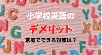 小学6年生の英単語まとめ ニャマ先生のonline塾